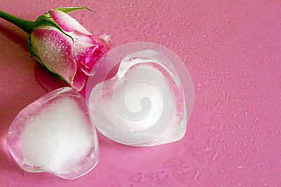 Хайрлах сэтгэл яагаад хөрдөг вэ ?